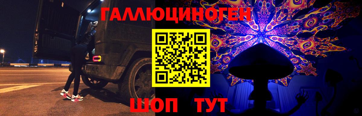 Галлюциногенные грибы Psilocybine cubensis Белореченск